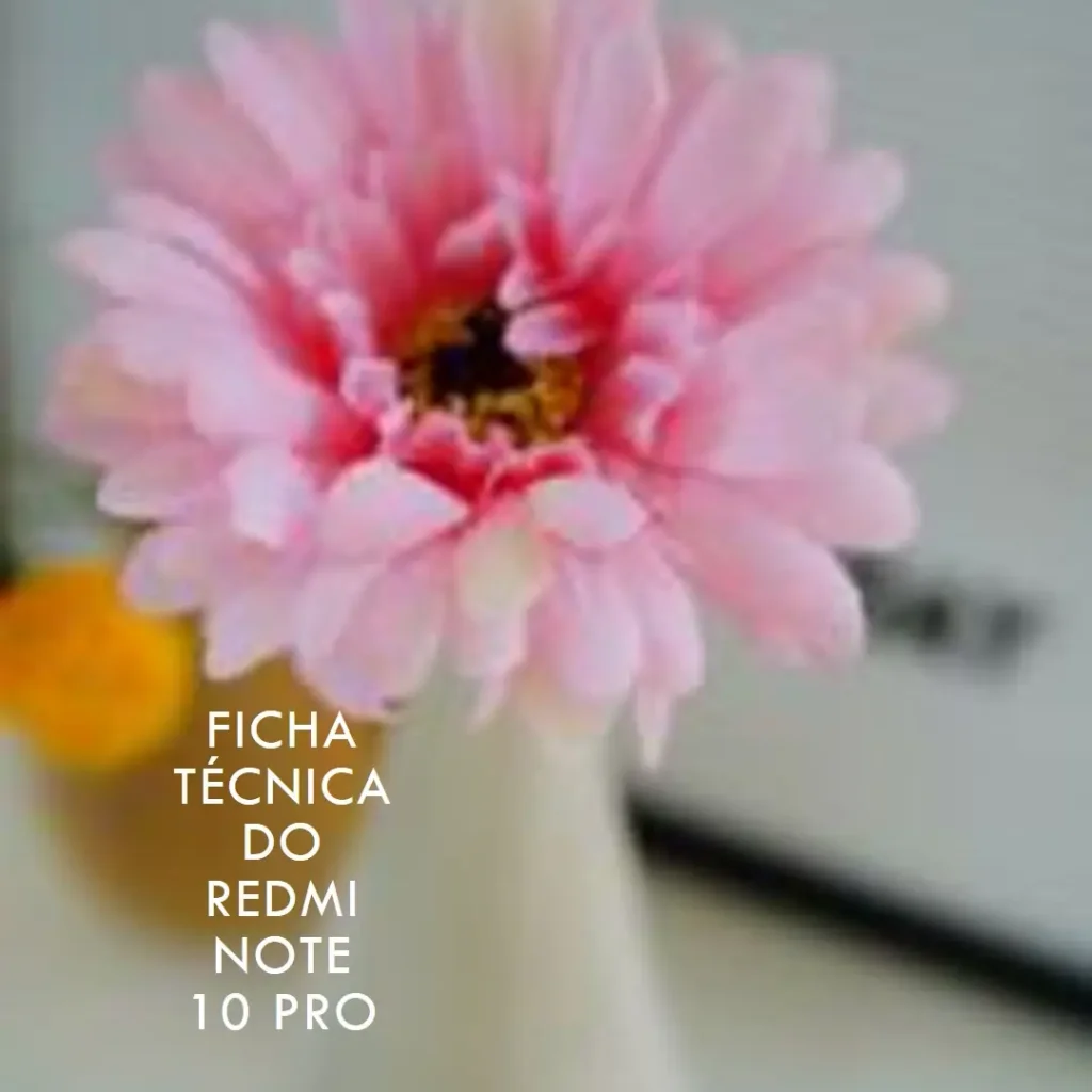Redmi Note 10 Pro (India)