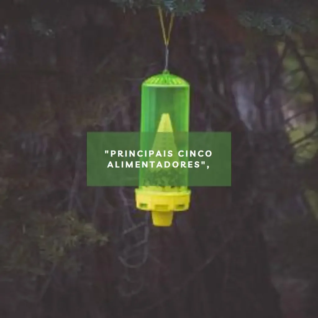Principais Cinco smart pet food feeder Xiaomi