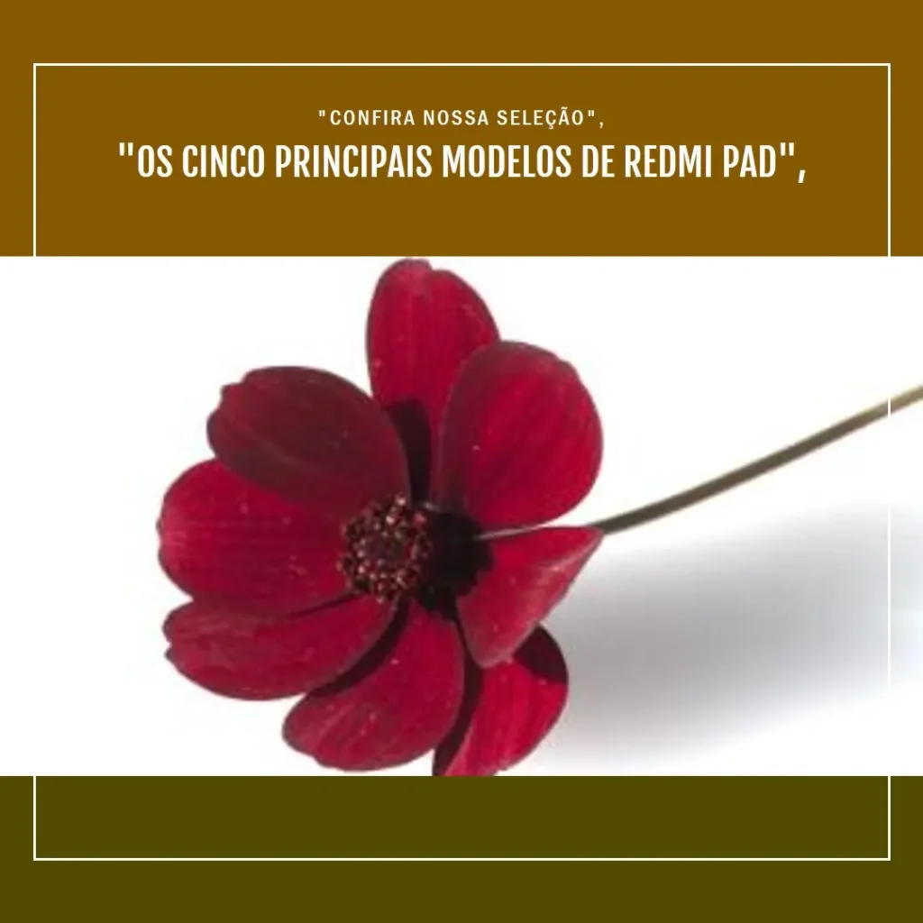 Top Cinco Modelos de Redmi pad se 8.7 4g