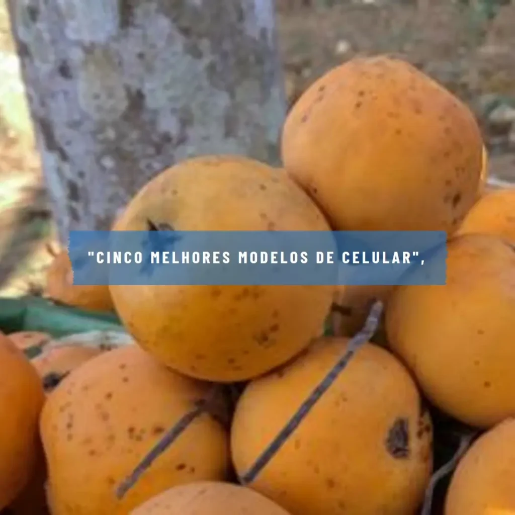 Cinco Melhores Modelos de Celular Xiaomi Redmi Note 12 128Gb