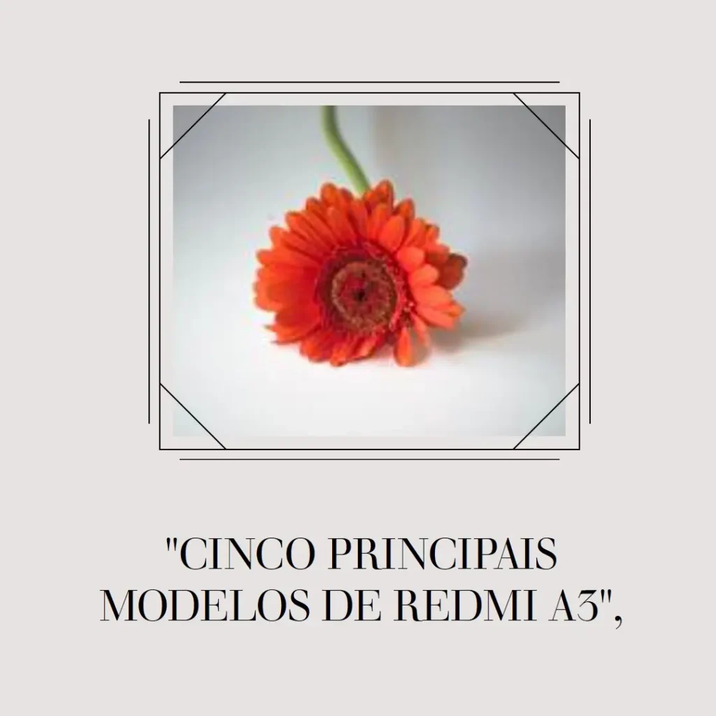 Cinco Melhores Modelos de Samsung 5g 128gb