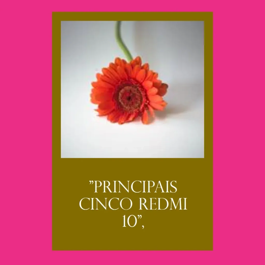 Principais Cinco Redmi 10